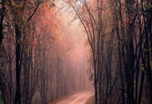 雷火电竞-当绿茵闪电撞上绿衫铁壁！姆巴佩奥运单挑凯尔特人，数据揭秘世纪交锋