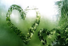 雷火电竞APP-英超锋刃出鞘！葡萄牙绝境逢生，C罗任意球绝杀书写关键一胜！