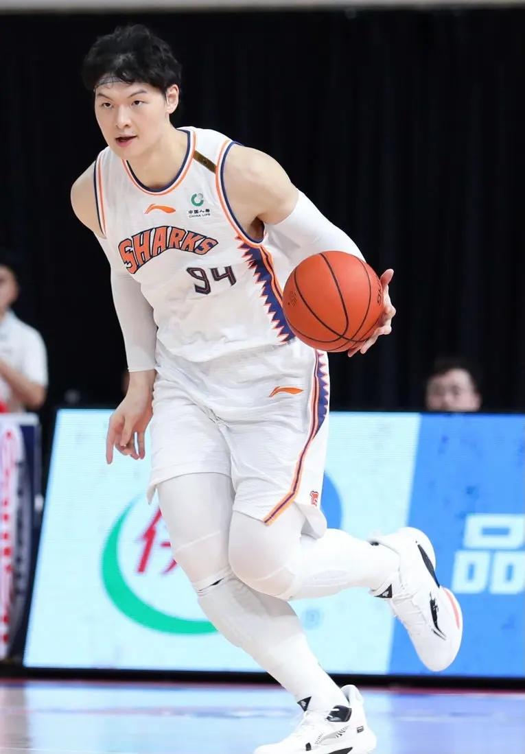 雷火电竞下载-关于猛龙轻取天津队，王哲林惊艳四座的信息
