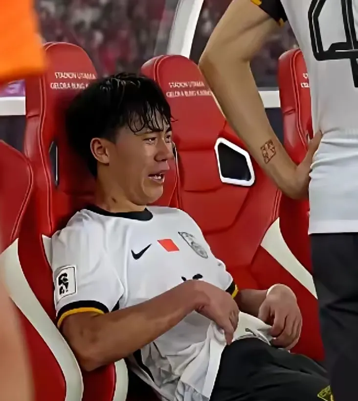 关于德国队完胜印尼队，郑思维惊艳四座的信息