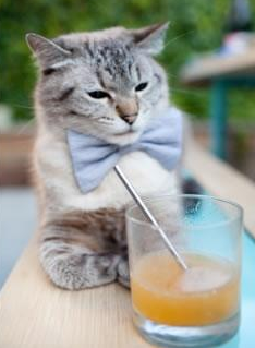 美加墨星空下的跨界一击，当库里在世界杯之夜扣动扳机