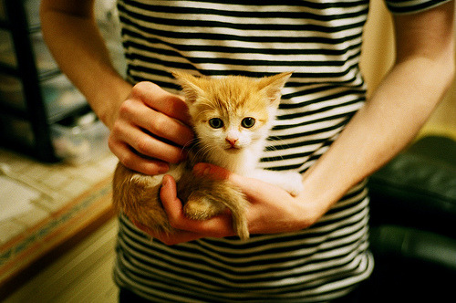 北境风暴席卷地中海,加拿大梦幻军团全面压制那不勒斯,梅西降维打击状态燃爆欧洲