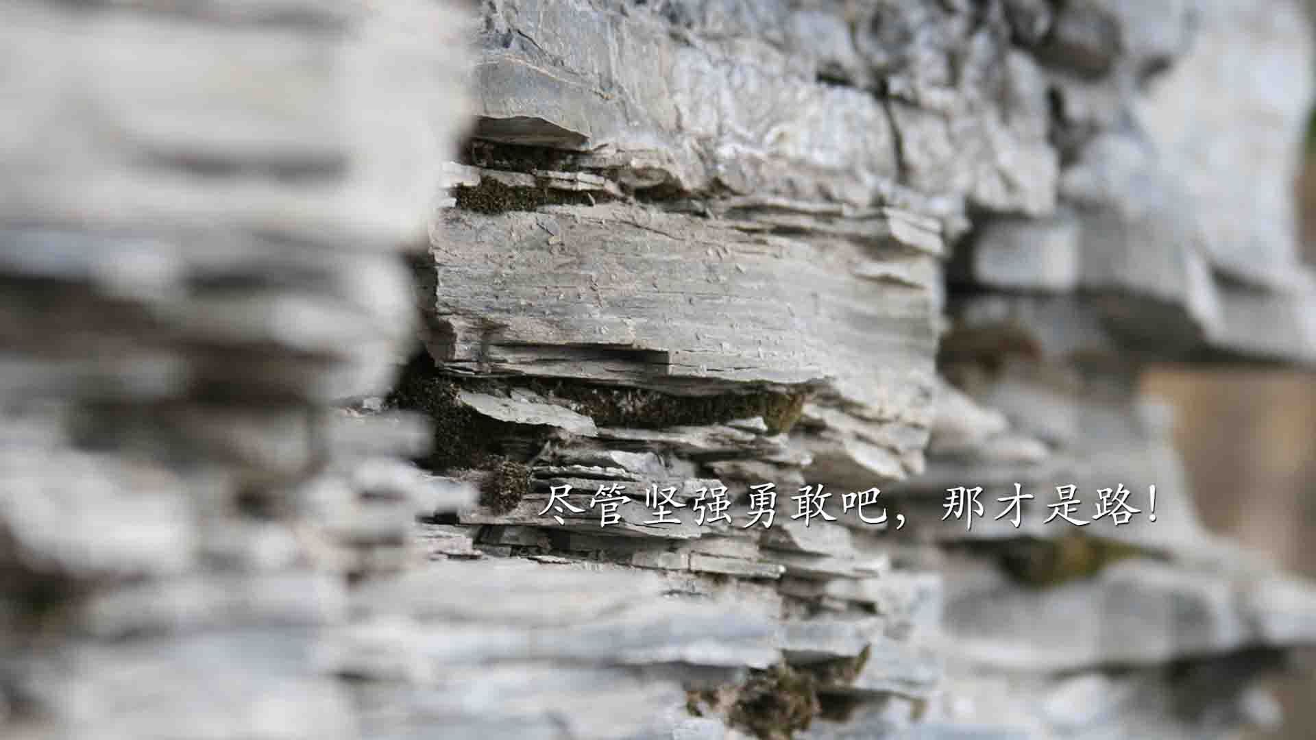 雷火电竞充值-1.铁血与艺术的交响，布鲁诺导演塞内加尔硬仗破几内亚