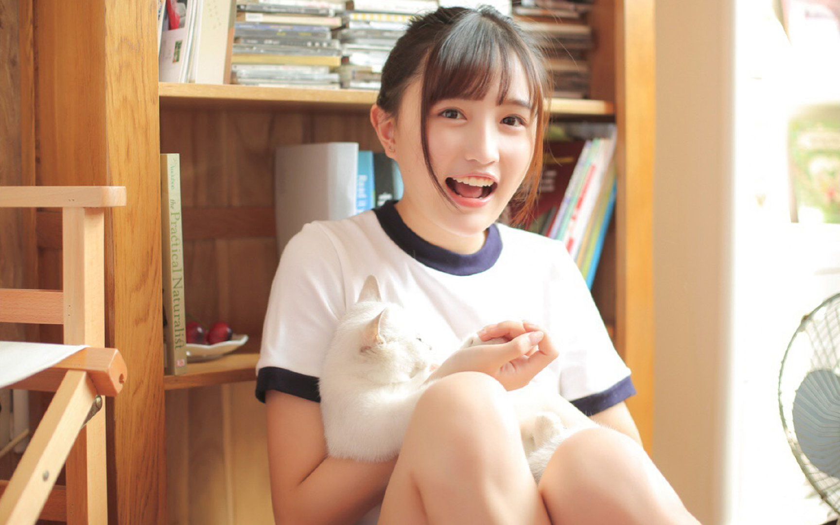 绿茵F1,芬兰式逆袭与巴斯塔潘的黄色风暴