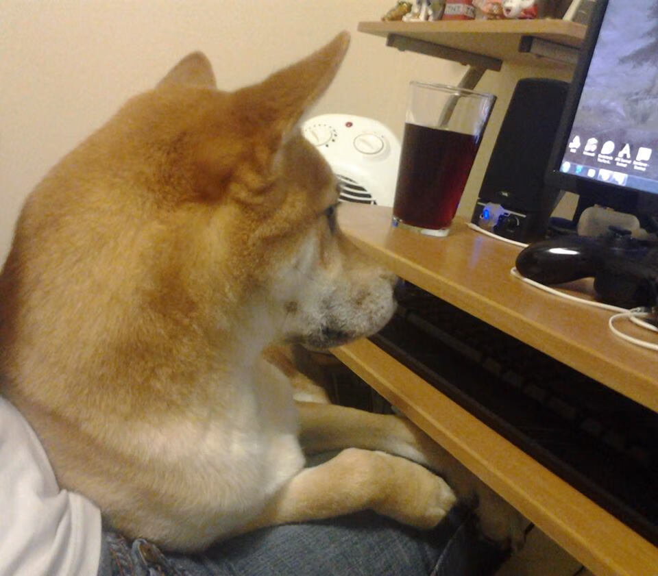 不朽！39分钟逆转1.4亿钢铁巨兽，卡瓦哈尔一刀划破多特蒙德神话