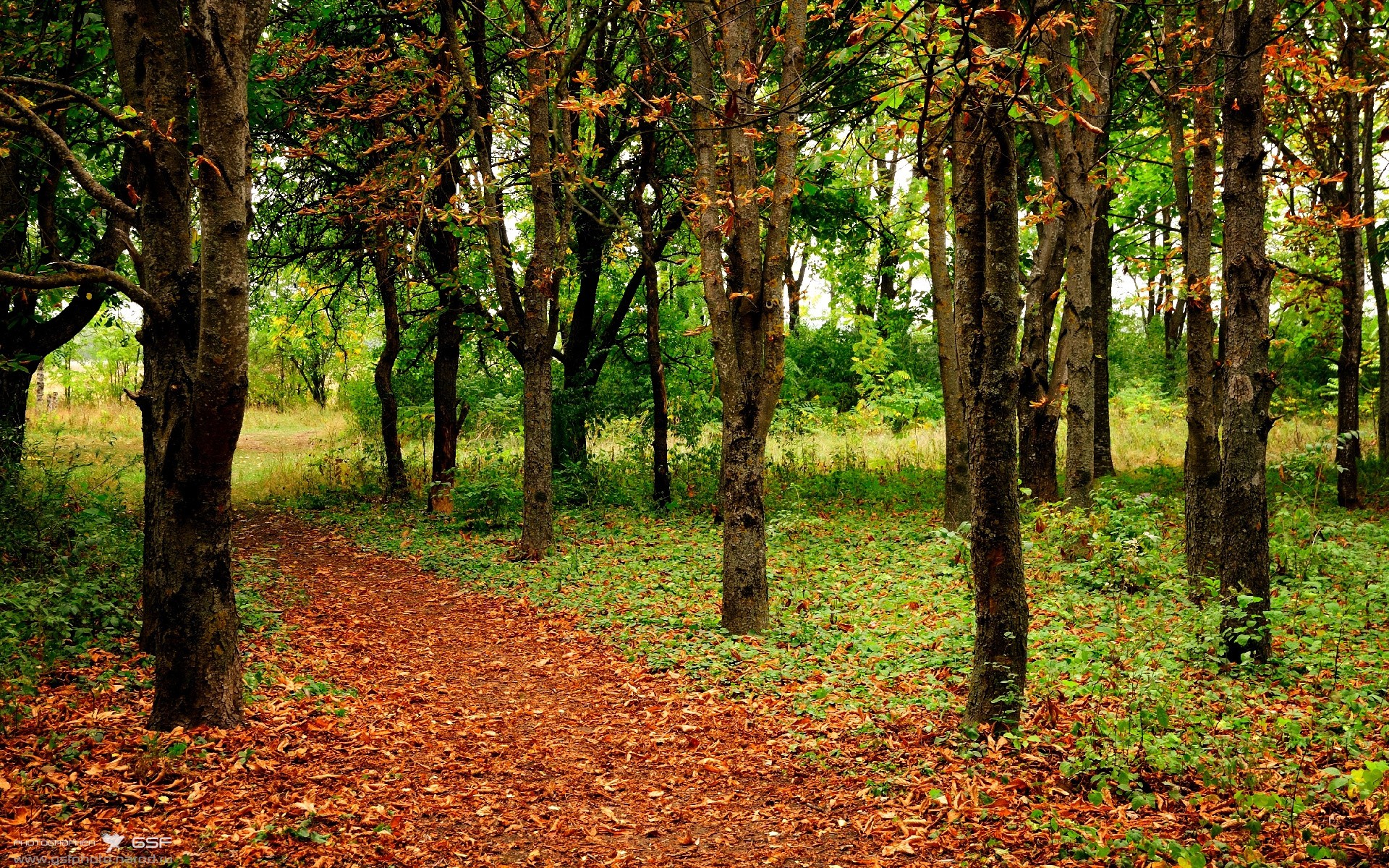 征服不可能，从墨西哥城到NBA赛场，逆袭剧本如何重写体育史