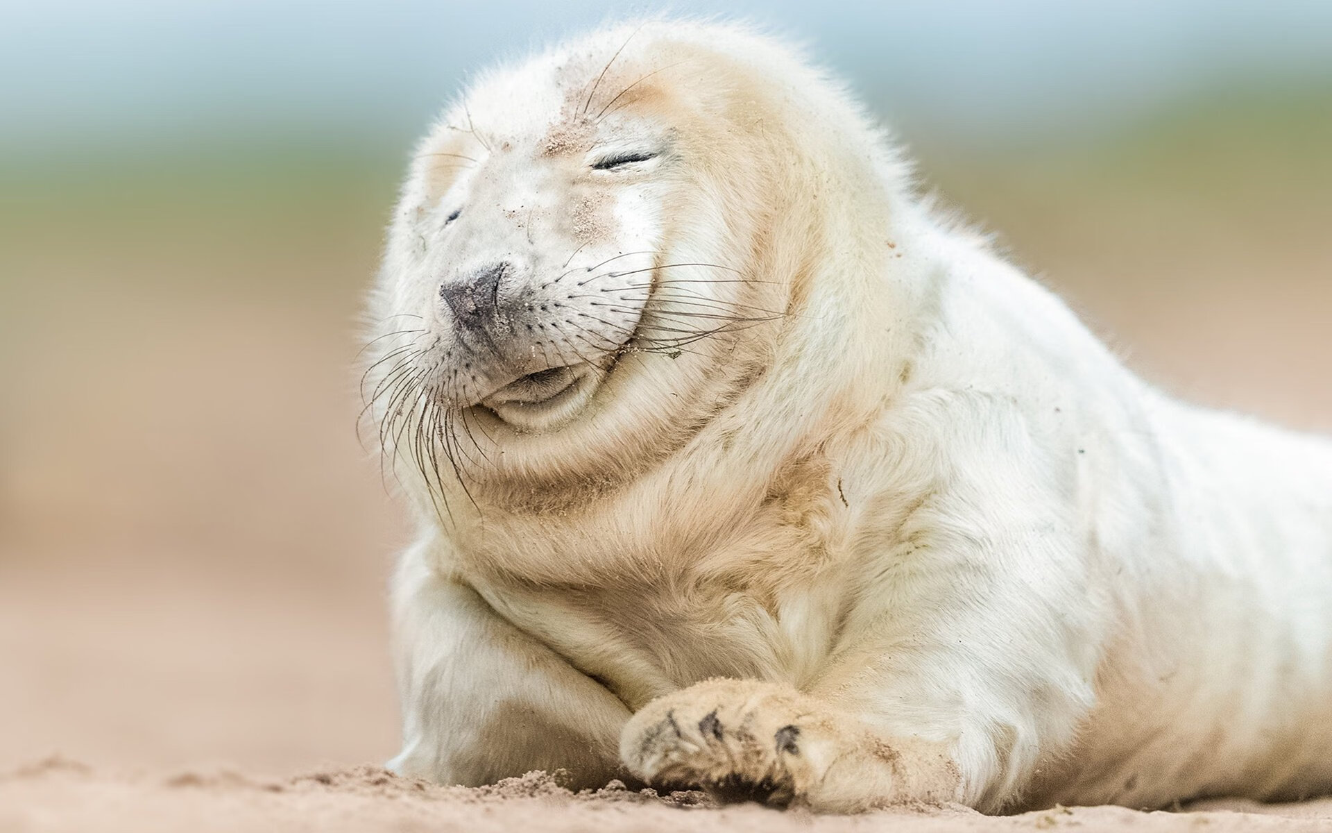 神迹诞生！杜兰特化身关键先生引领火箭小卒掀翻步行者豪门