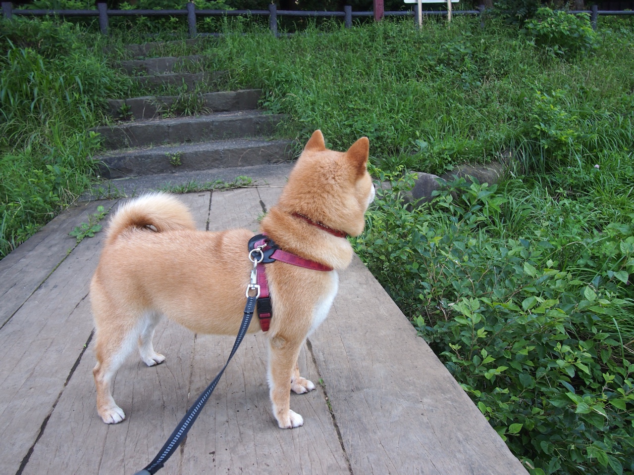 冠军诞生前夜，当内马尔踩碎时间，孤独便是唯一的战术