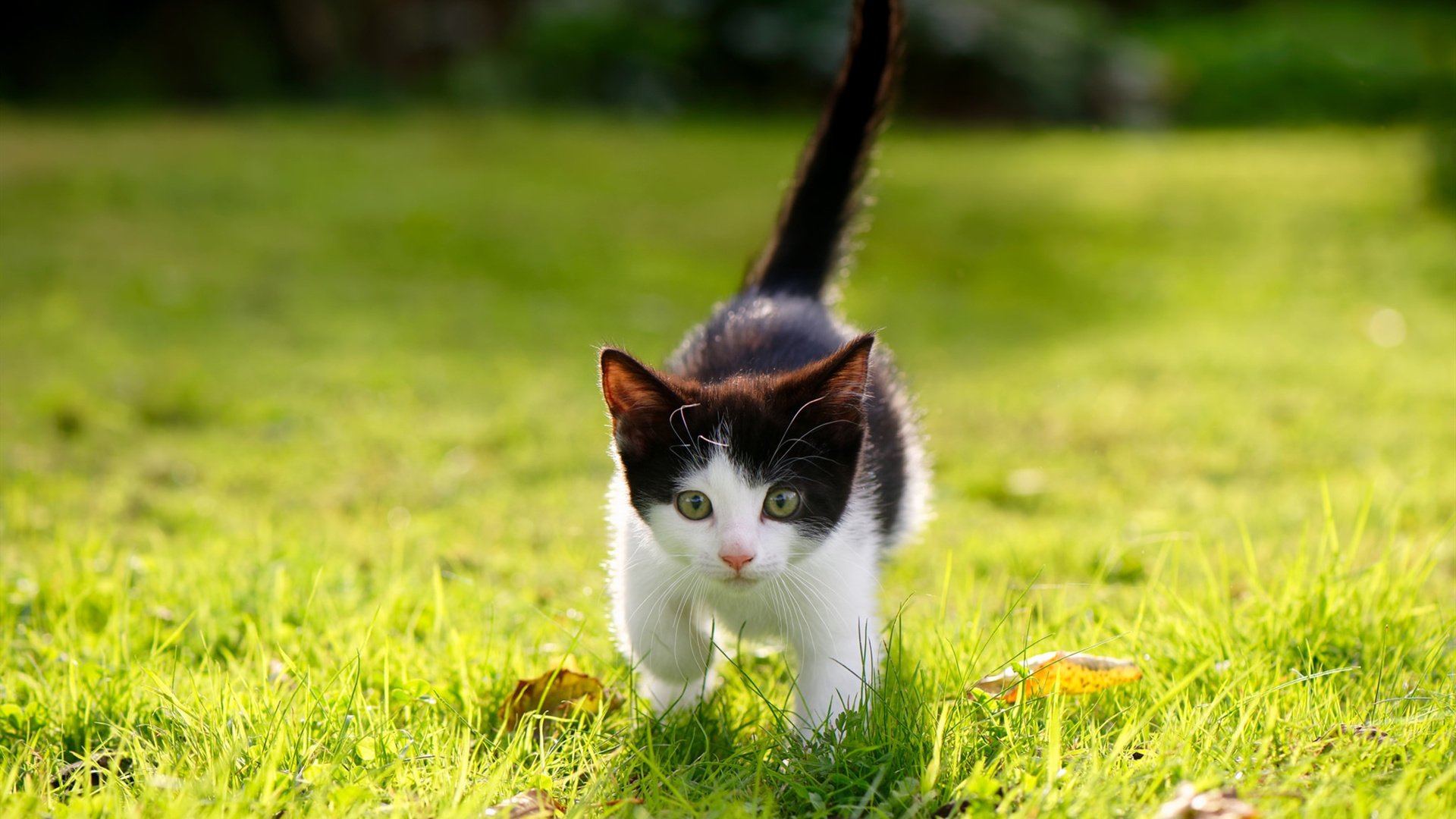 一场不存在的比赛，一个真实的答案，苏亚雷斯在梦幻对决中完成自我救赎