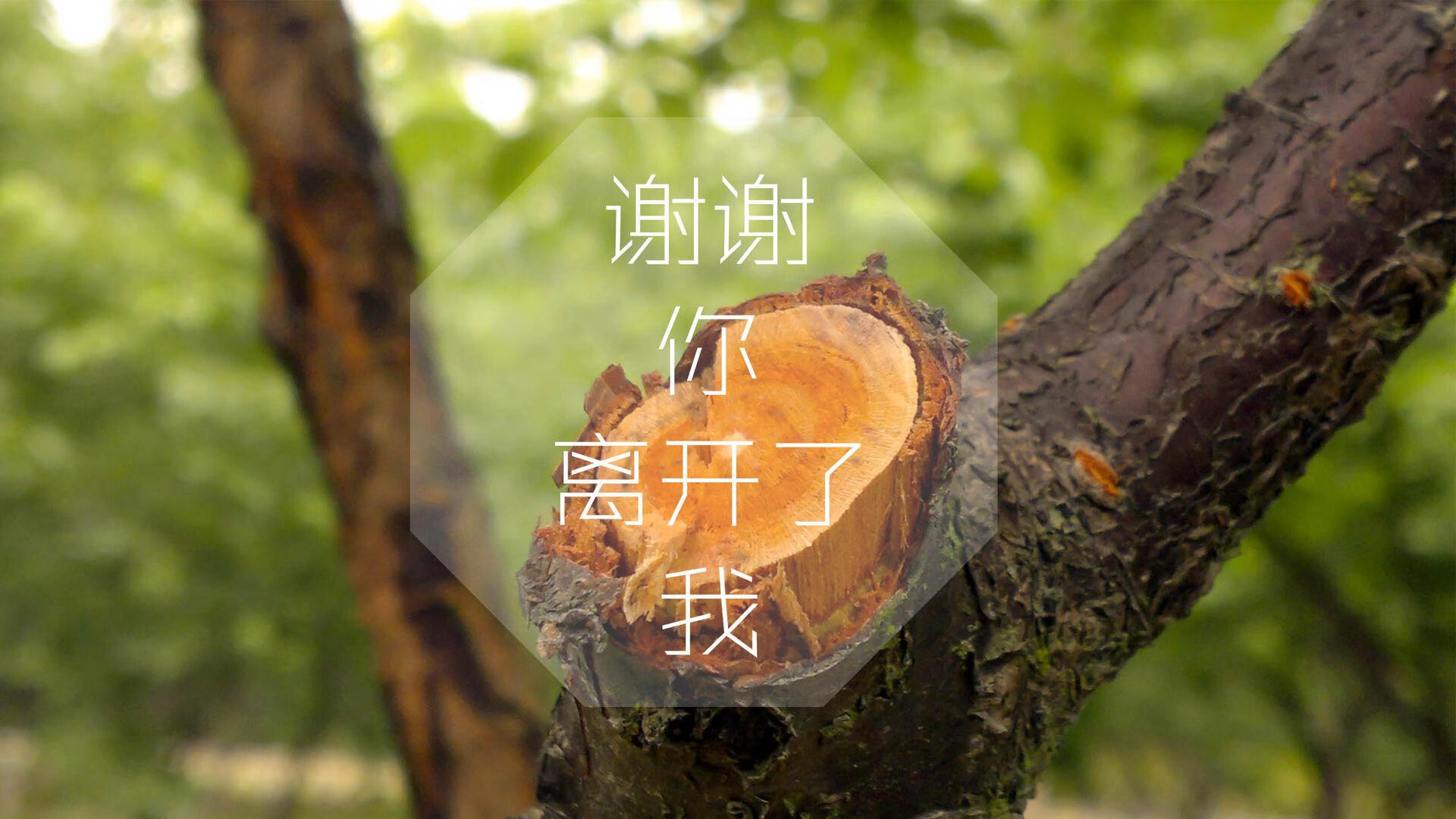 雷火电竞网址-NBA总决赛焦点战，威尔士式逆转再现，摩纳哥成永恒背景板
