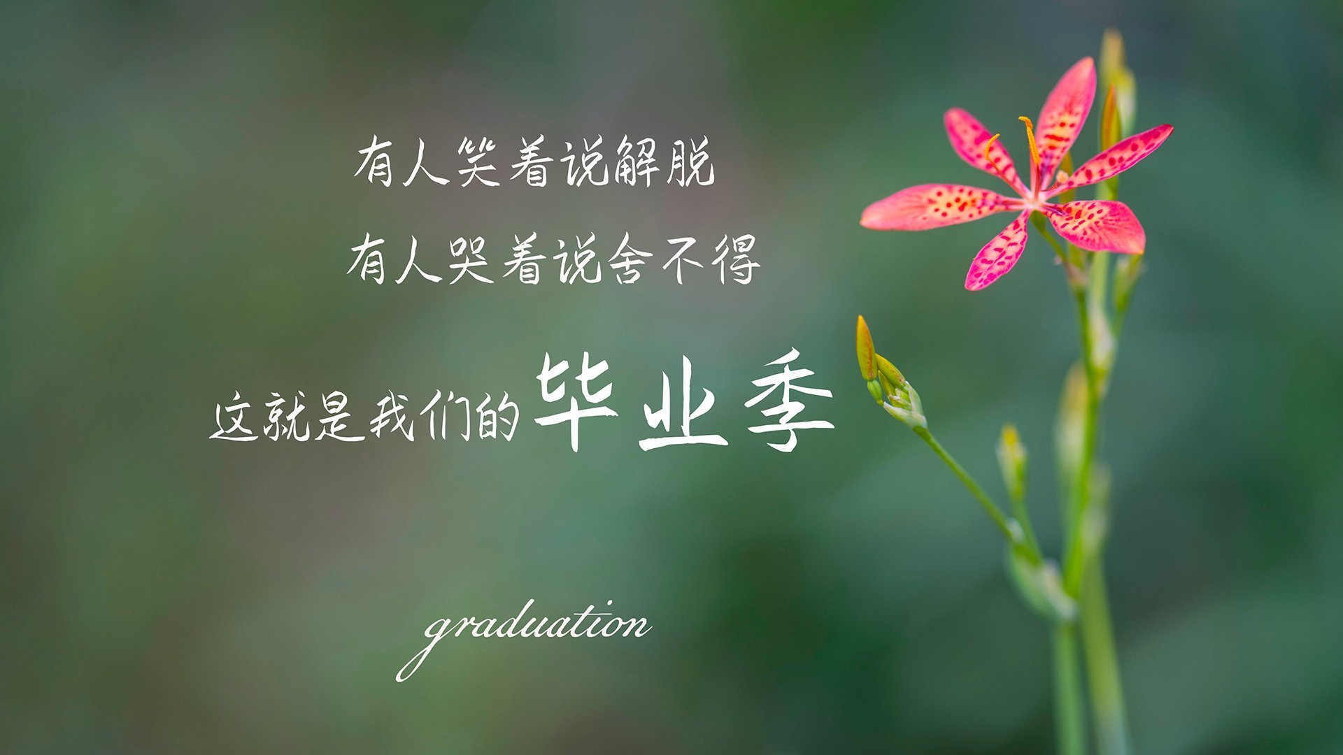 南美双雄的宿命对决,加维的闪电一击,撕开2026世界杯F组最惨烈战役