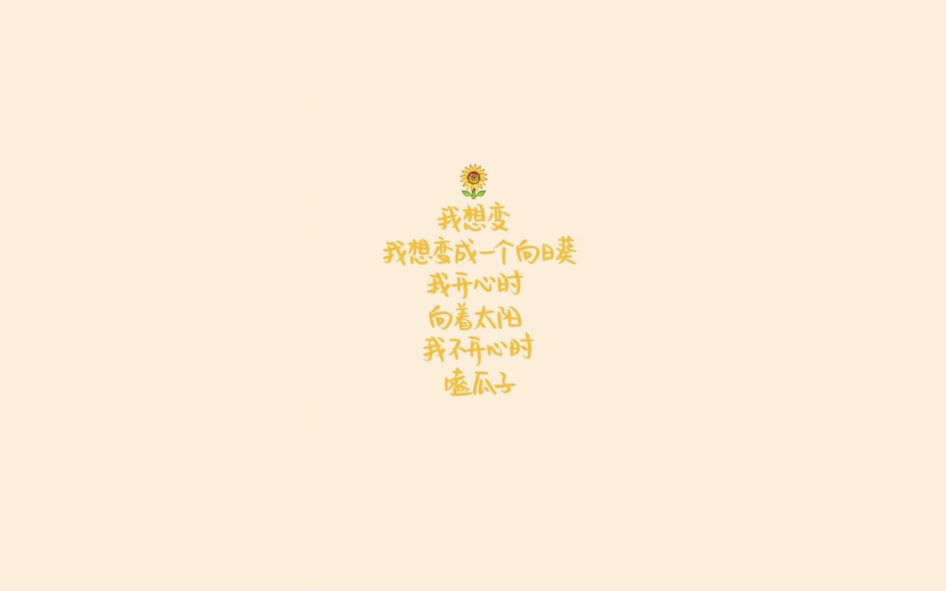 （扩展后）